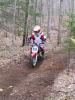 Teddy - 50cc